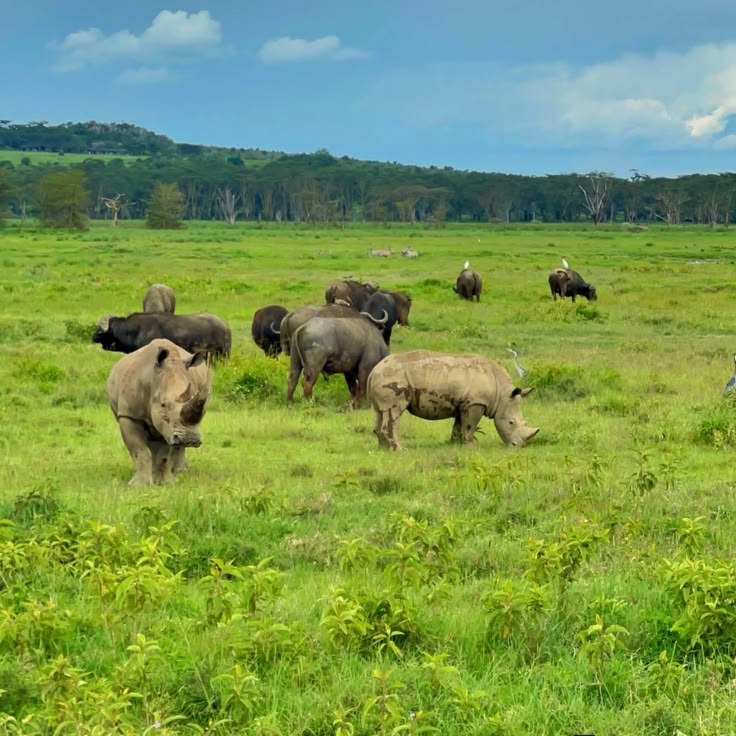 Nakuru Rift Valley