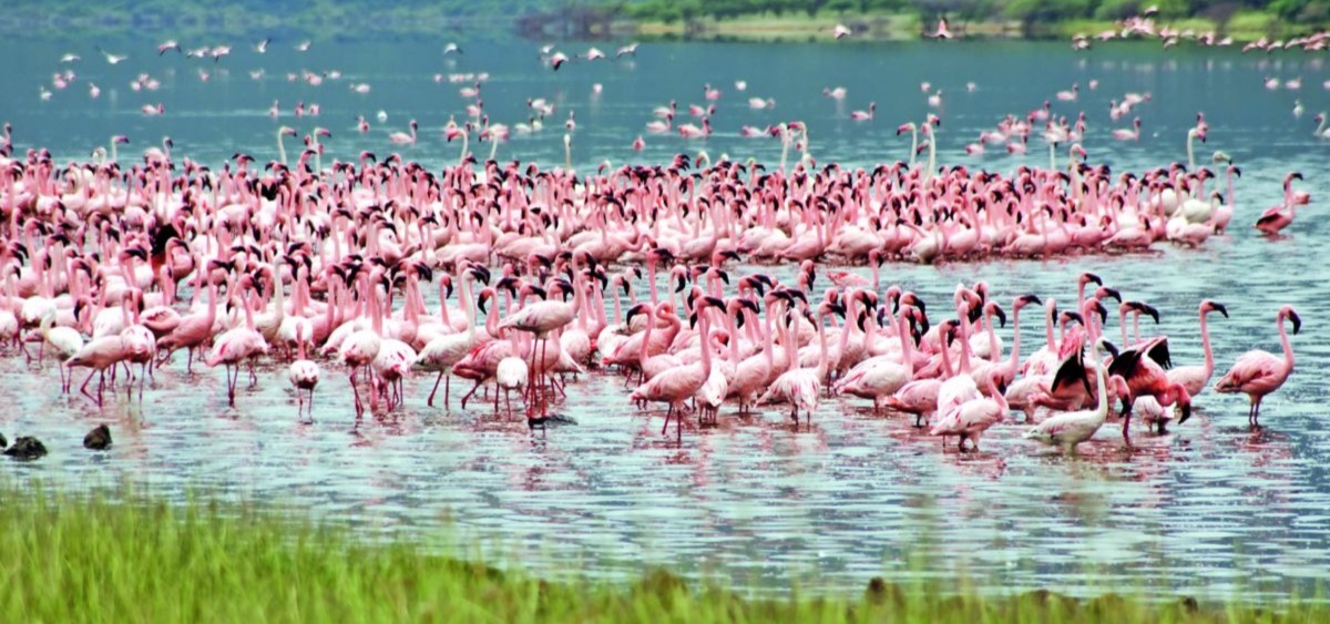 Lake Baringo