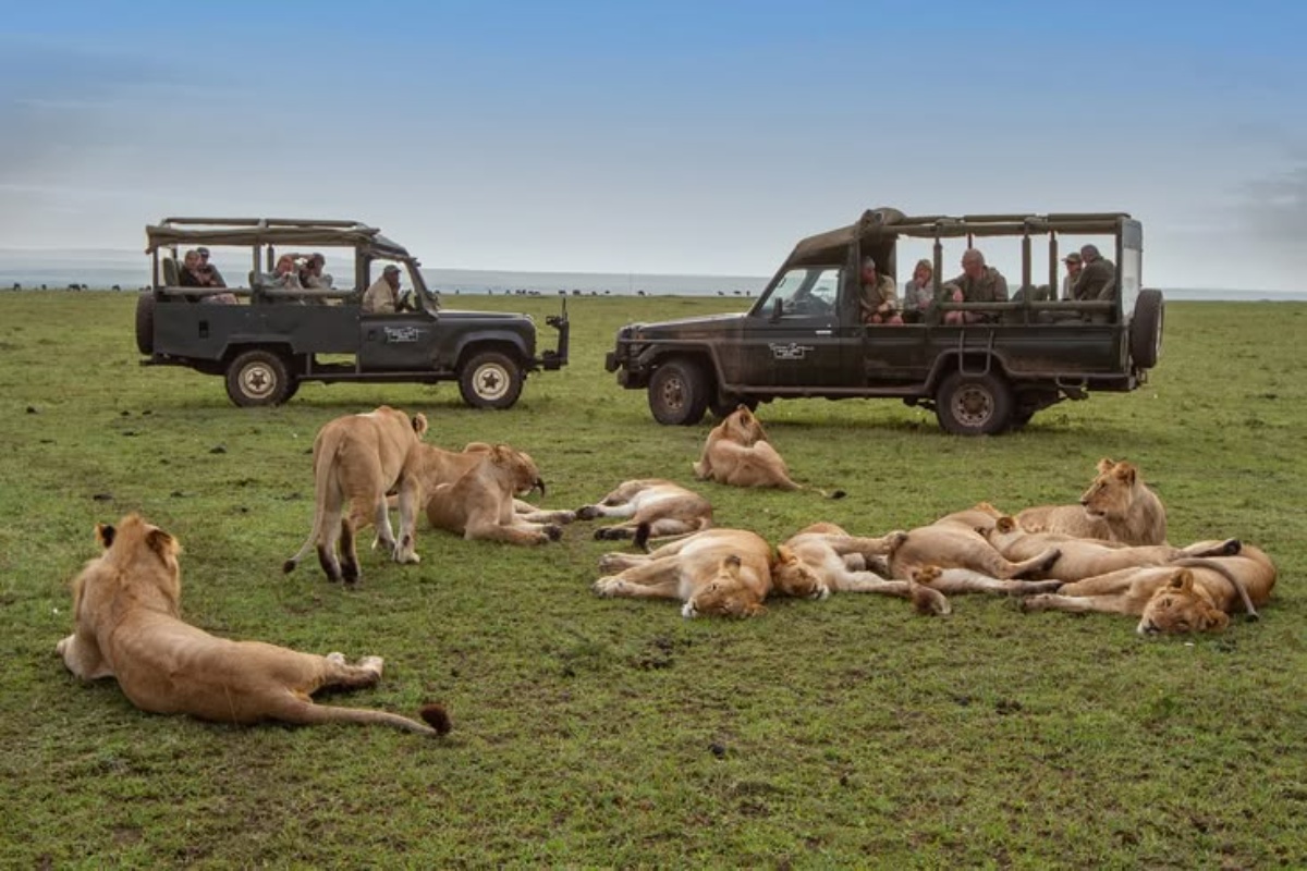 Maasai Mara