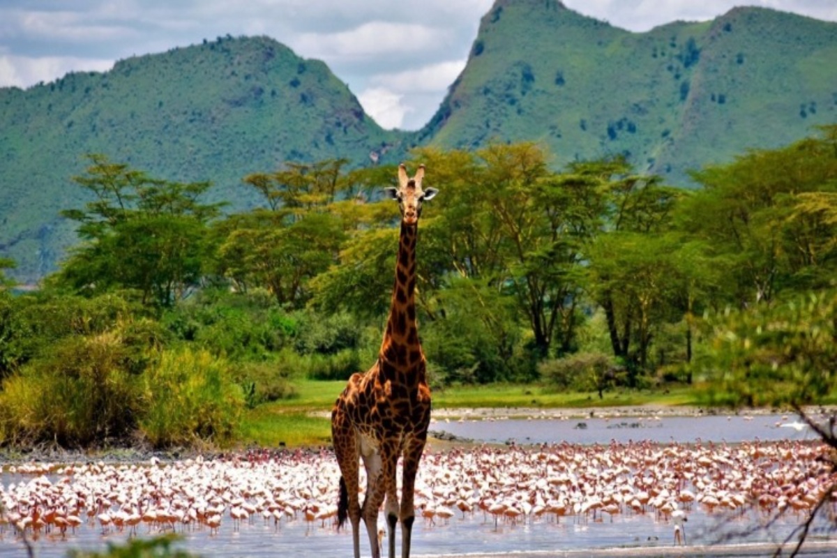 Lake Elmenteita / Soysambu-Naivasha Area